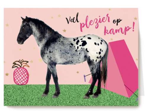 op kamp kaart voor een meisje met de tekst veel plezier op kamp