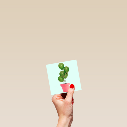 plant met ballonnen