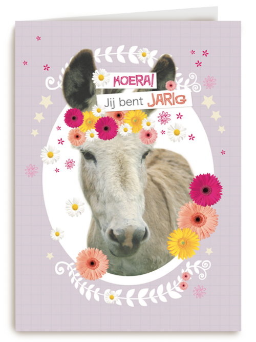 prodo dieren ezel jij bent jarig