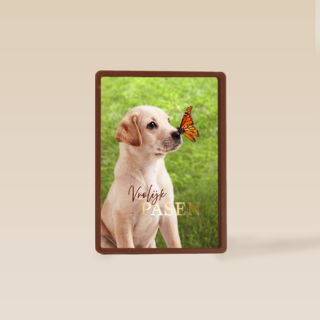 Pasen vrolijk hond vlinder