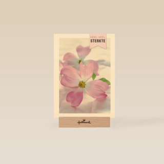 sterkte heel veel sterkte