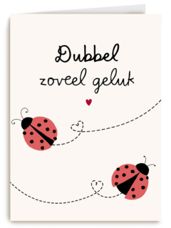 geboorte meerling dubbel zoveel geluk