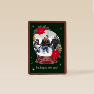 Kerst Foto Snowglobe