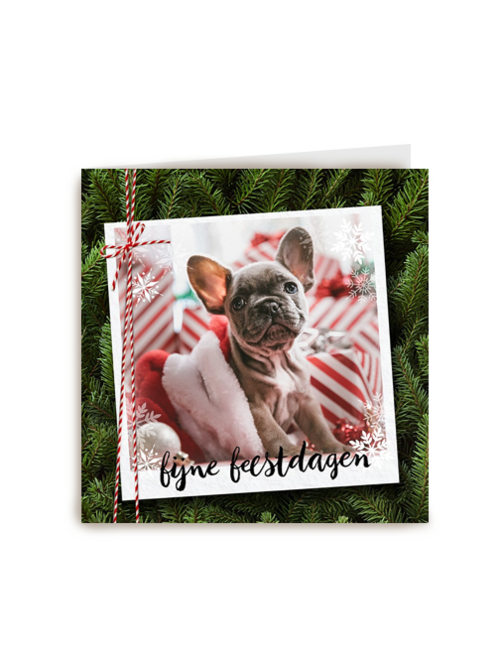 kerstkaart fotokaart hond fijne feestdagen