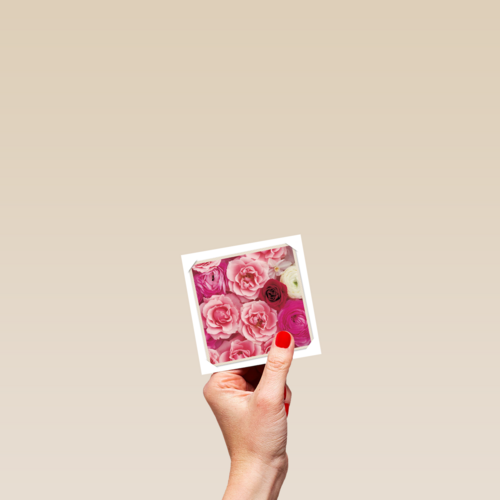 flash bloemen roze