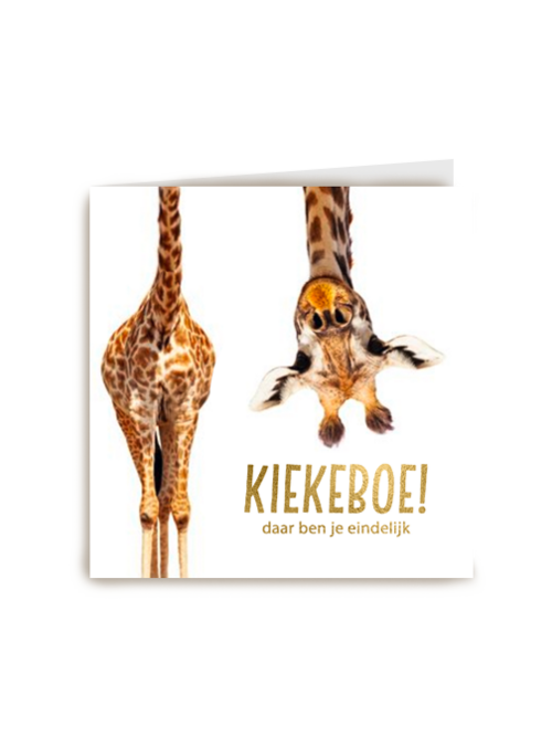 geboorte giraffe kiekeboe