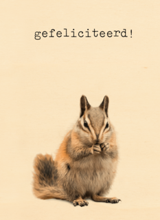 Gefeliciteerd kaart furry cuddles eekhoorn