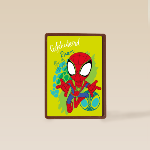 Gefeliciteerd Spidey and Friends