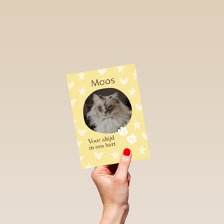 Condoleance Voor Altijd In Ons Hart