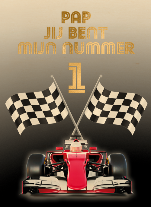 Pap jij bent mijn nummer 1 formule 1