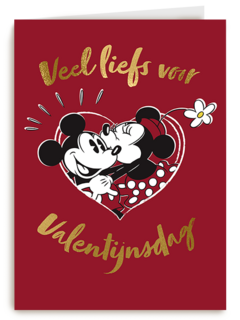 Valentijn Mickey Minnie Veel Liefst