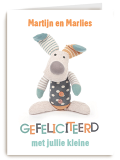 gefeliciteerd knuffel