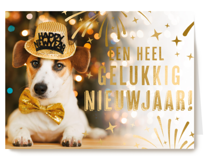 hond met strik en hoed bij kerstboom