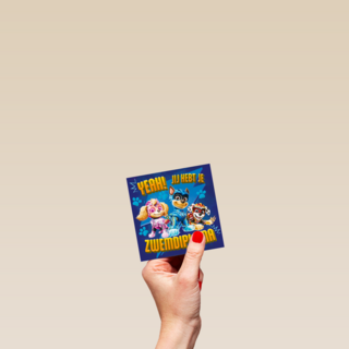 paw patrol zwemdiploma kaart