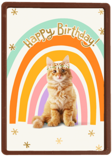 Regenboog kat Happy Birthday