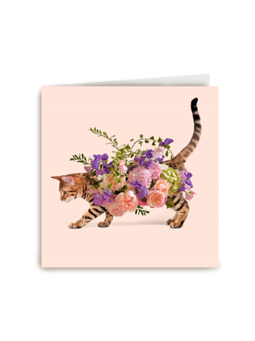Verjaardagskaart vrouw grappig poes met bloemen