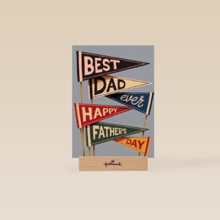Best dad ever happy fathers day flags