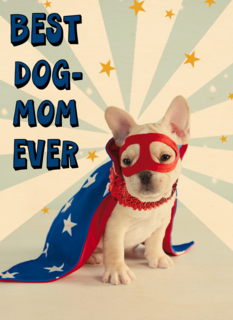 Moederdagkaart humor Best dog mom ever
