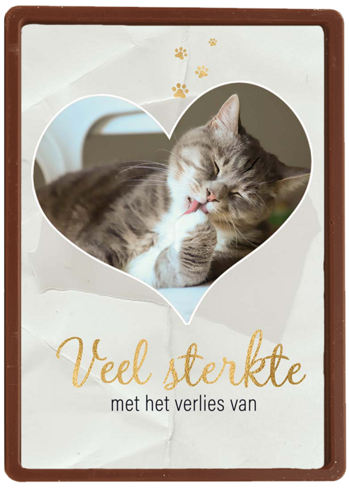 Fotokaart veel sterkte met verlies kat