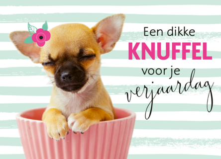 Verjaardagskaart chihuahua in cupcake