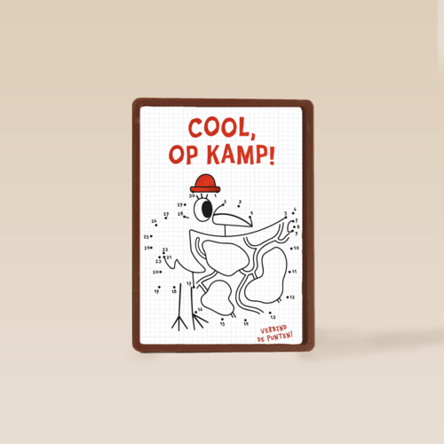 Cool op kamp spel