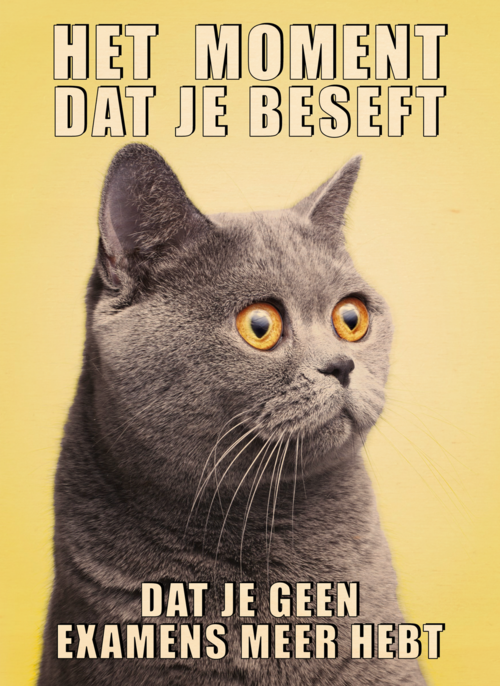 Geslaagd kaart Kat grappig