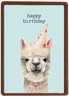 verjaardag kaart hip happy birthday lama alpaca