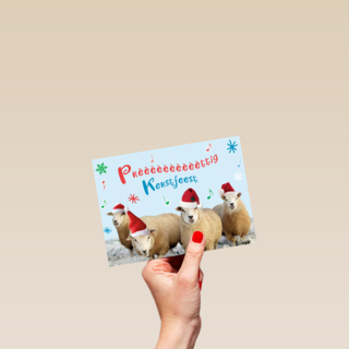schapen prettig kerstfeest