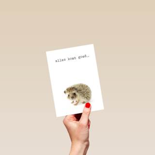 Sterkte kaart Furry Cuddles egeltje