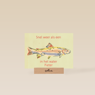 Beterschap Snel Weer Als Een Vis