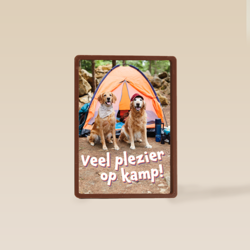 Op kamp kaart 2 honden bij tent