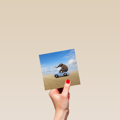 olifant in auto