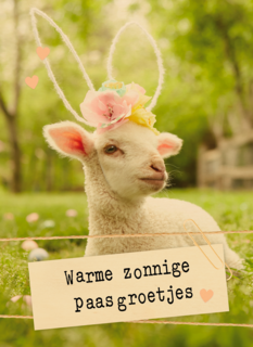 Warme zonnige paasgroetjes