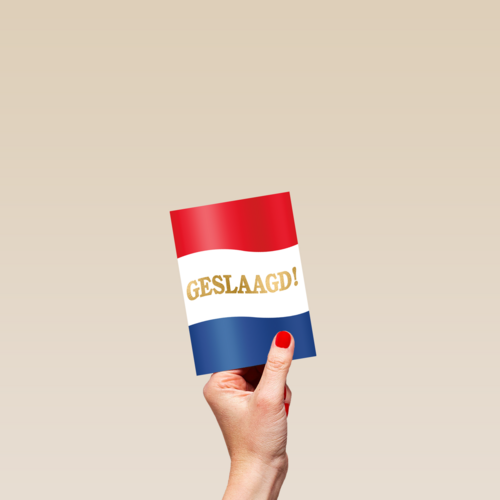 geslaagd kaart nederlandse vlag