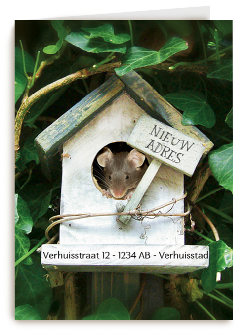 verhuizen nieuw adres vogelhuis