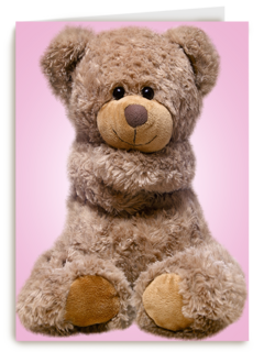 Chromazone Roze knuffelbeer