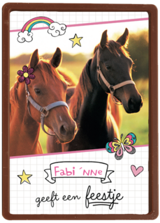 verjaardagsfeest meisje paarden zij geeft een feestje