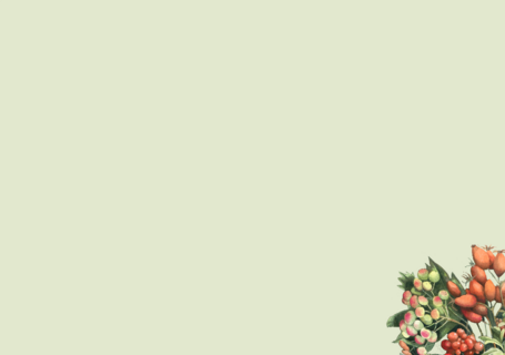 Marjolein Bastin Kerstdagen Tekst