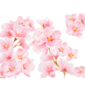 Kneipp Cadeauset Soft Skin Moments 