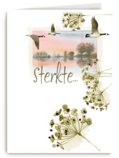 sterkte met dit verlies