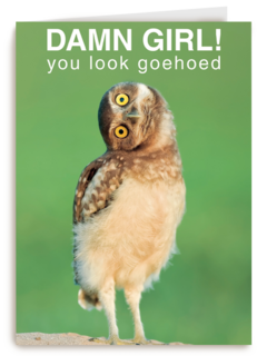 damn girl you look goehoed