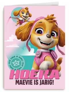 Paw Patrol Skye Hoera