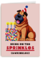 Verjaardag Sprinkles And Wrinkles