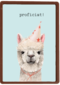 Verjaardag kaart hip happy birthday lama alpaca