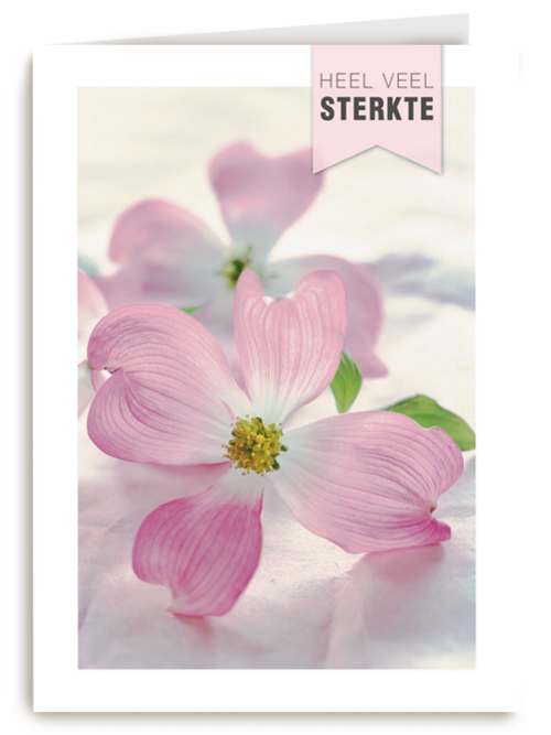 sterkte heel veel sterkte
