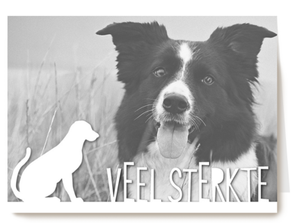 fotokaart veel sterkte verlies huisdier hond