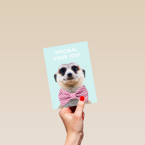 vaderdag kaart hip speciaal voor jou stokstaartje met strik
