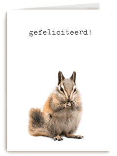 Gefeliciteerd kaart furry cuddles eekhoorn