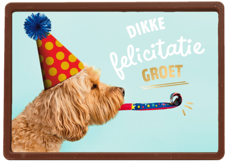 hond met feesthoedje dikke felicitatiegroet kaart