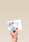paarse bloemen met vlinder